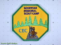 2010 Goodyear Memorial Scout Camp